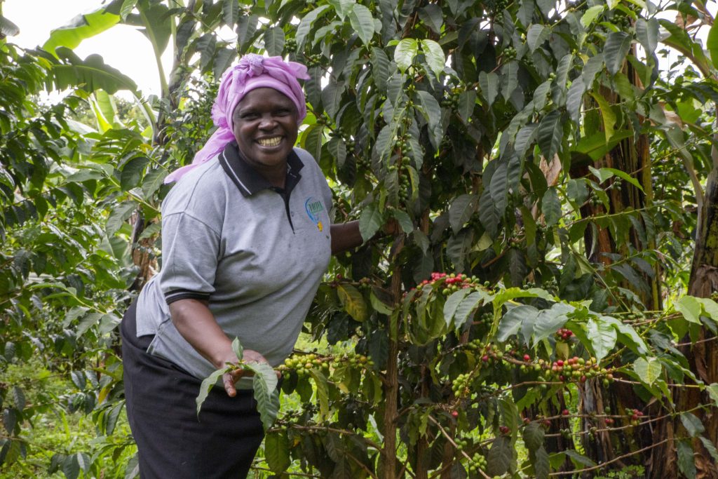 Jenipher Sambazi Fairtrade coffee farmer Uganda