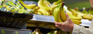 Bunches of bananas in a supermarket