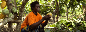 Cocoa farmer holding a cocoa pod