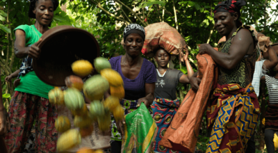 Our campaign for a fair cocoa trade is just beginning