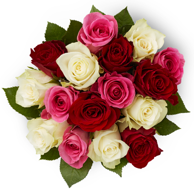 lidl mothers day flowers 2019