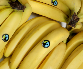 Fairtrade Response To Aldi S Support For The Fruit And Veg Pledge Fairtrade Foundation