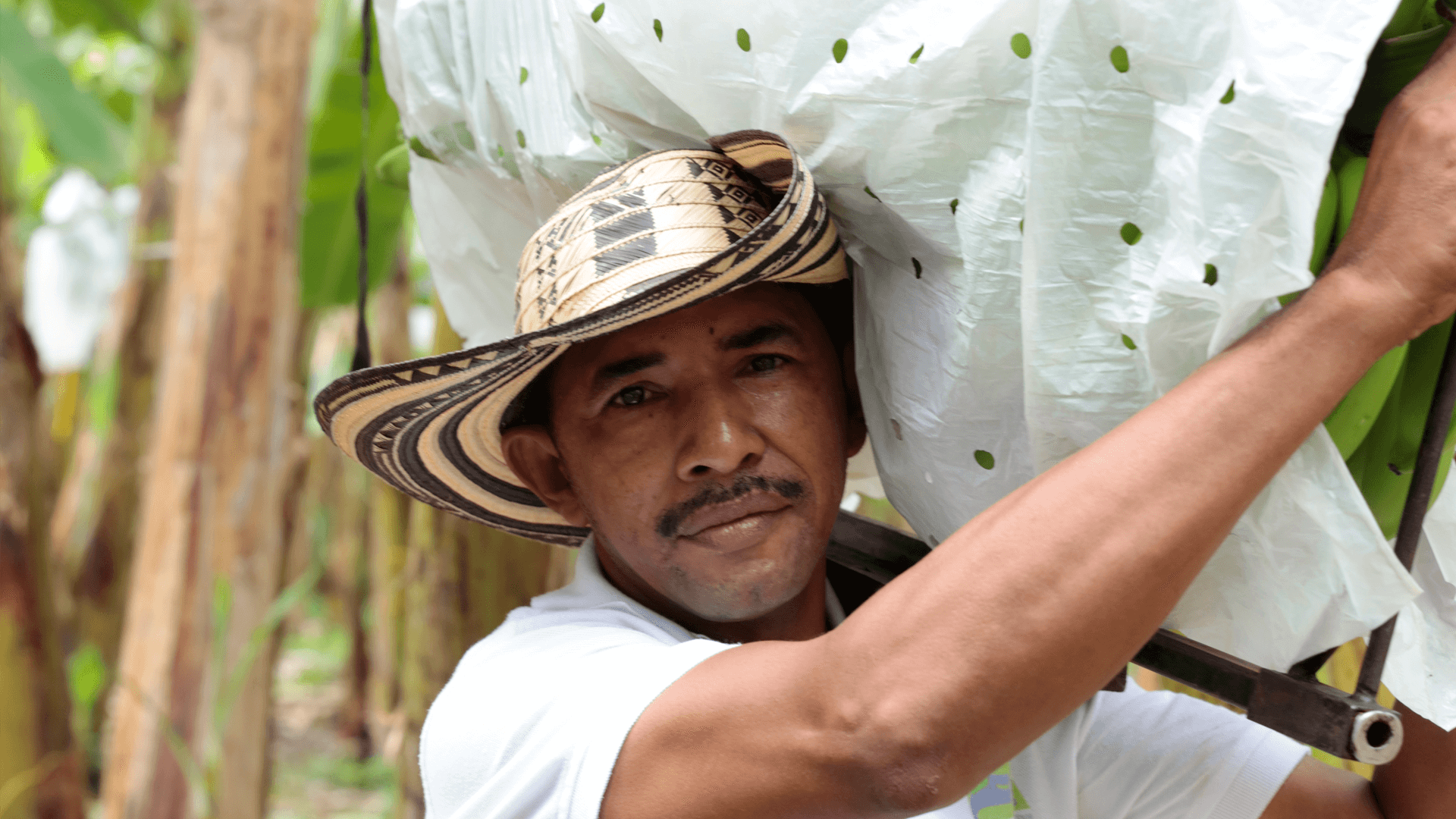 Foncho Cantillo, Coobafrio, Colombia - Fairtrade