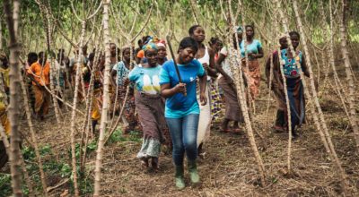 Cocoa farming is a trade for all seasons