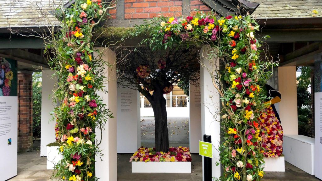 Fairtrade pavilion at Chelsea Flower Show. A rose and foliage garland around the doorway, opening up to a tree decorated with more Fairtrade roses.