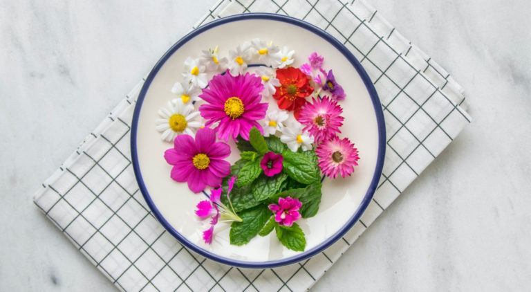 Plate with pink flowers